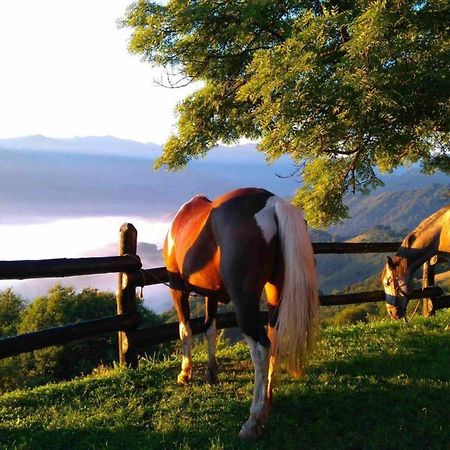 Apartamentos Turisticos El Balcon De Llavandes Коломбрес Екстер'єр фото